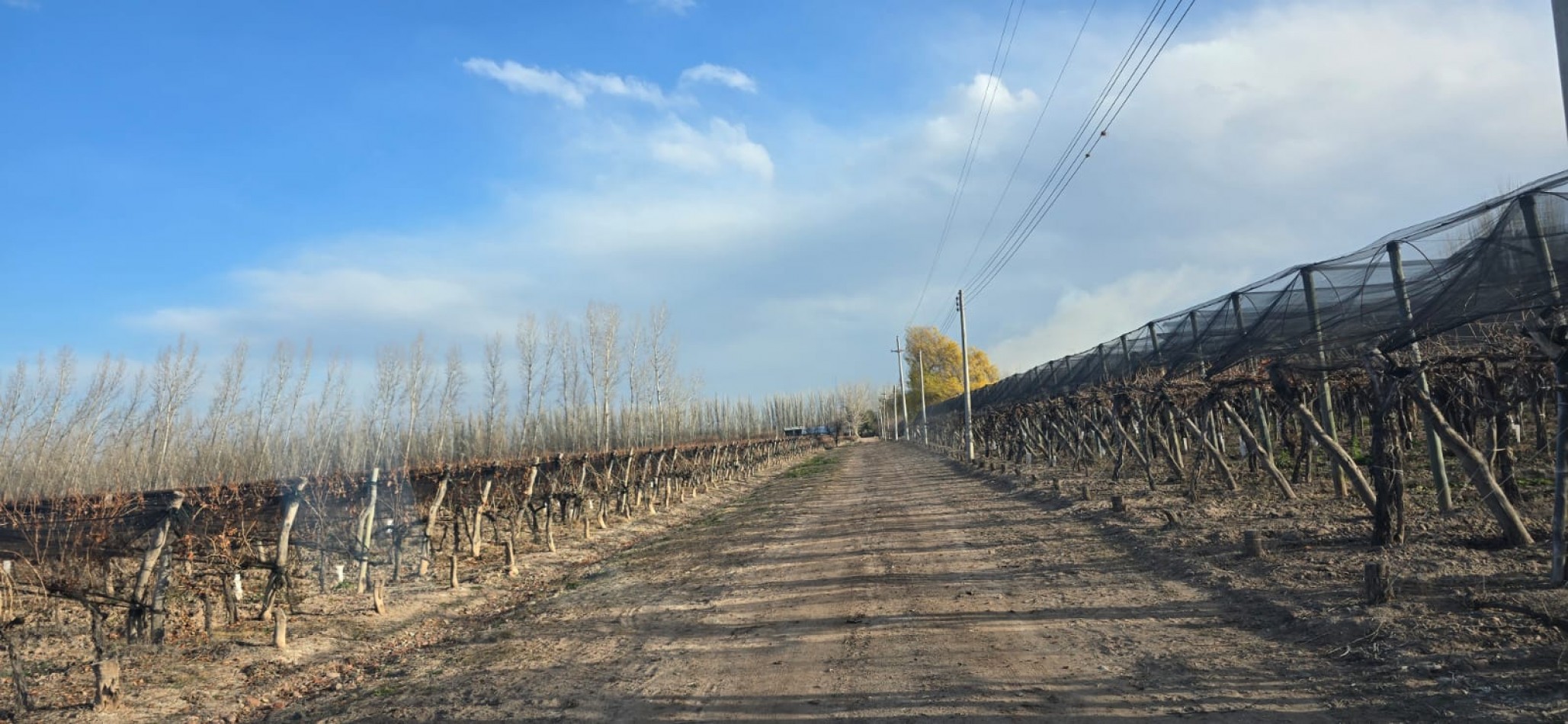 GREENWOOD INMOBILIARIA VENDE HERMOSA FINCA EN UGARTECHE