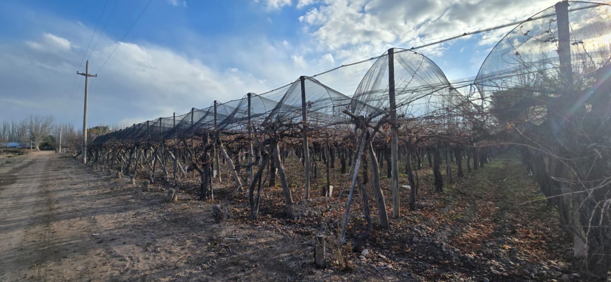 GREENWOOD INMOBILIARIA VENDE HERMOSA FINCA EN UGARTECHE