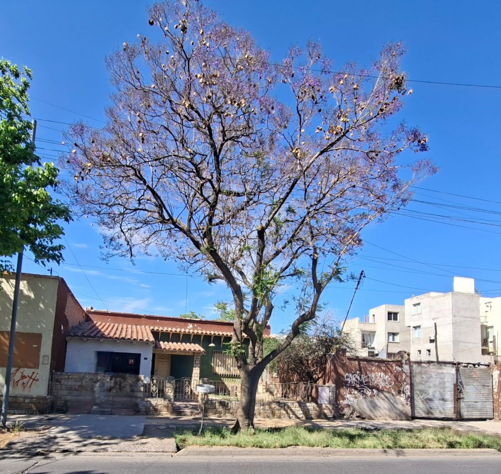 Greenwood Inmobiliaria vende lote en Godoy Cruz, Mendoza