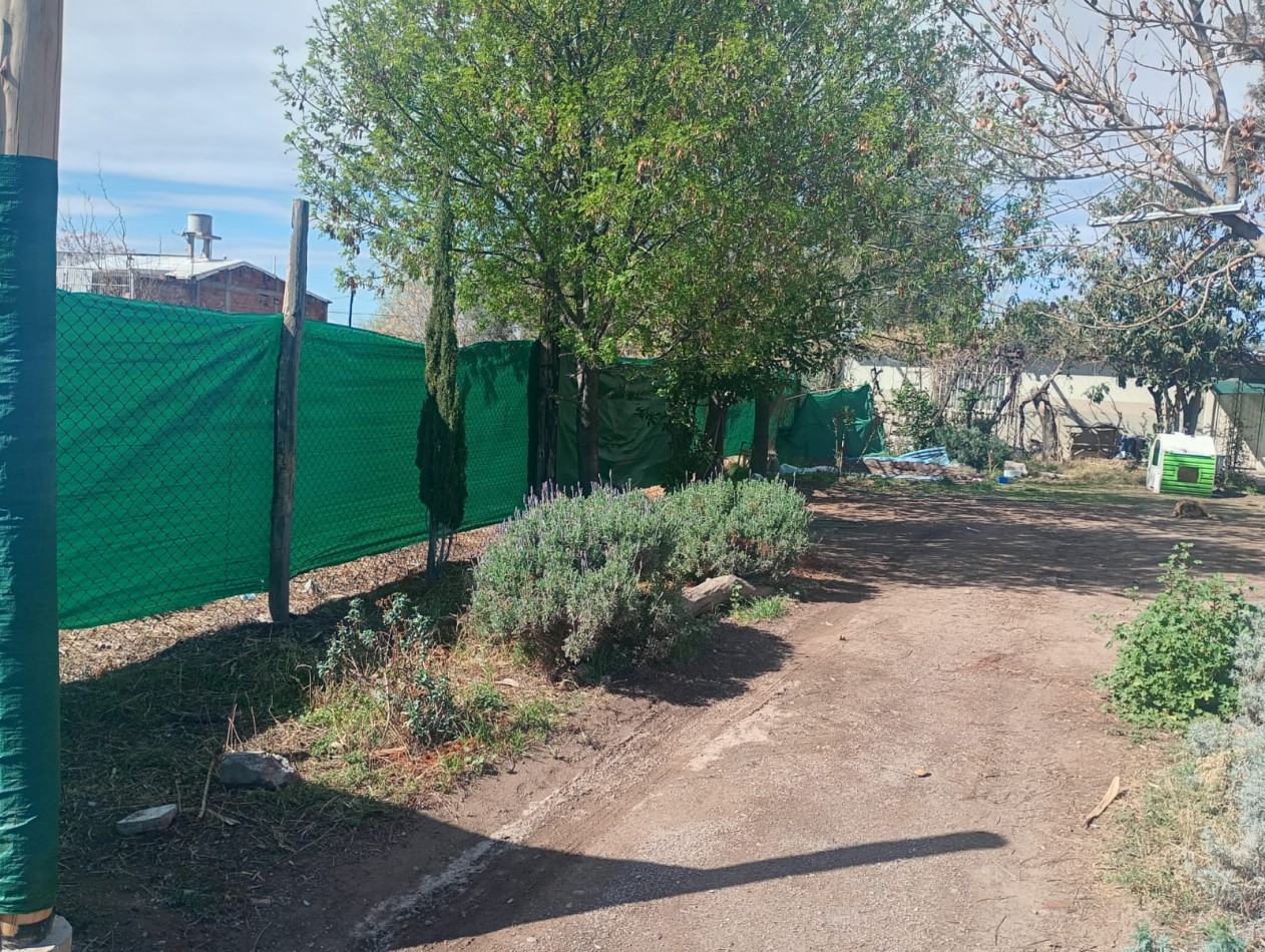 GREENWOOD INMOBILIARIA ALQUILA CASA CON GRANDISIMO TERRENO EN LAS HERAS!