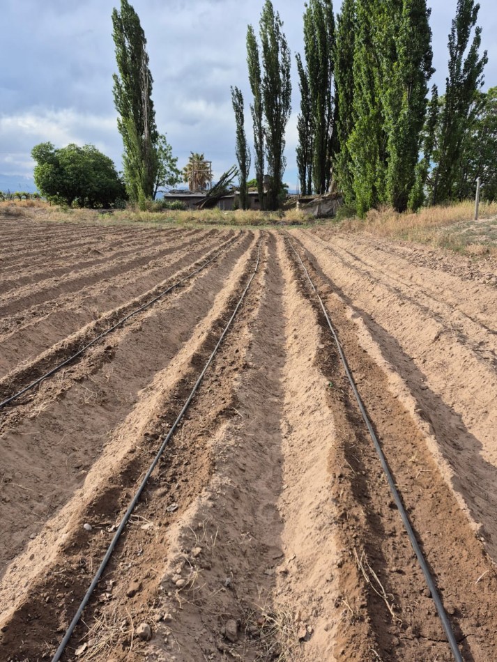 GREENWOOD INMOBILIARIA VENDE FINCA EN LUJAN DE CUYO, UGARTECHE