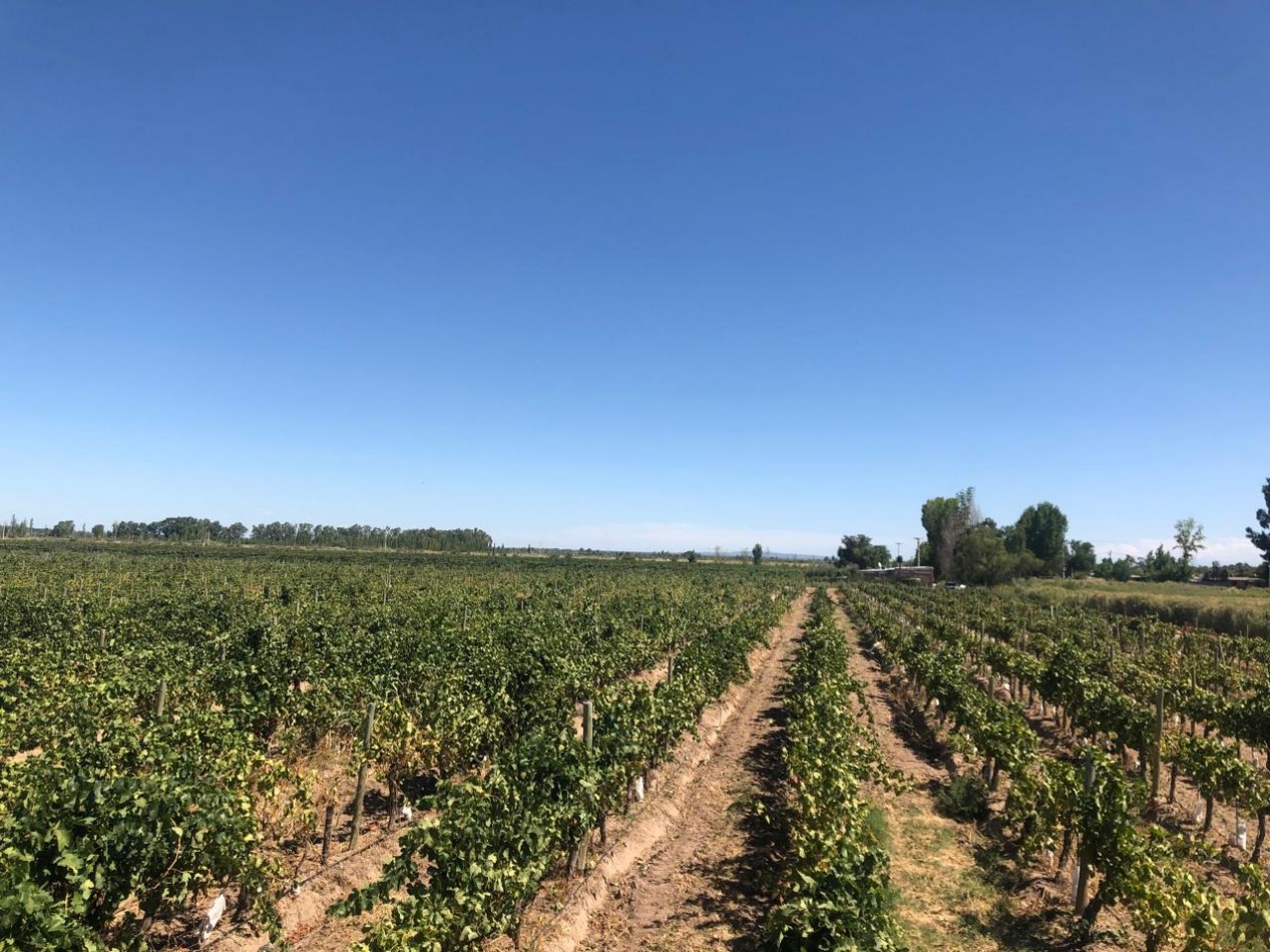 GREENWOOD INMOBILIARIA VENDE FINCA EN LAS HERAS 