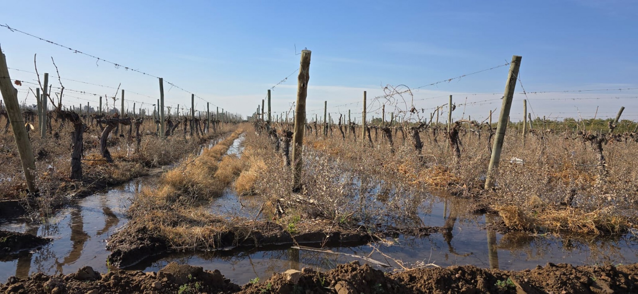 GREENWOOD INMOBILIARIA VENDE FINCA EN LAS HERAS 