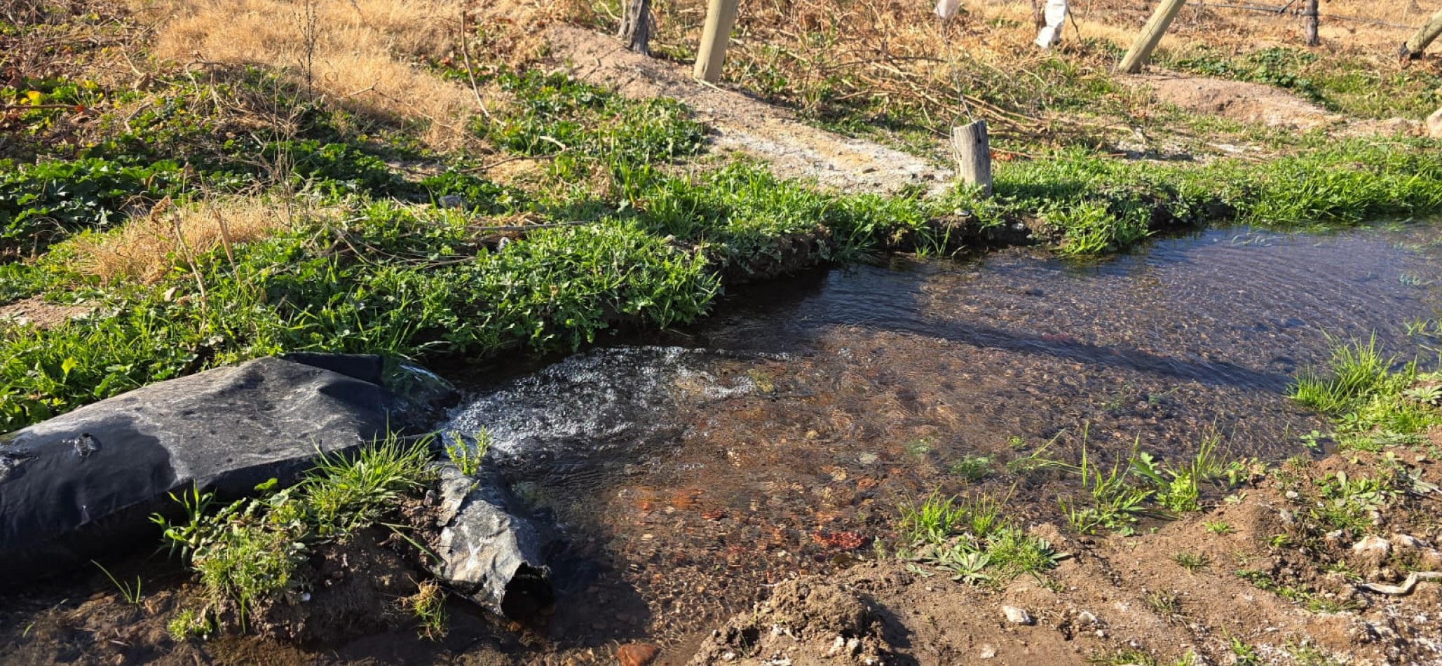 GREENWOOD INMOBILIARIA VENDE FINCA EN LAS HERAS 