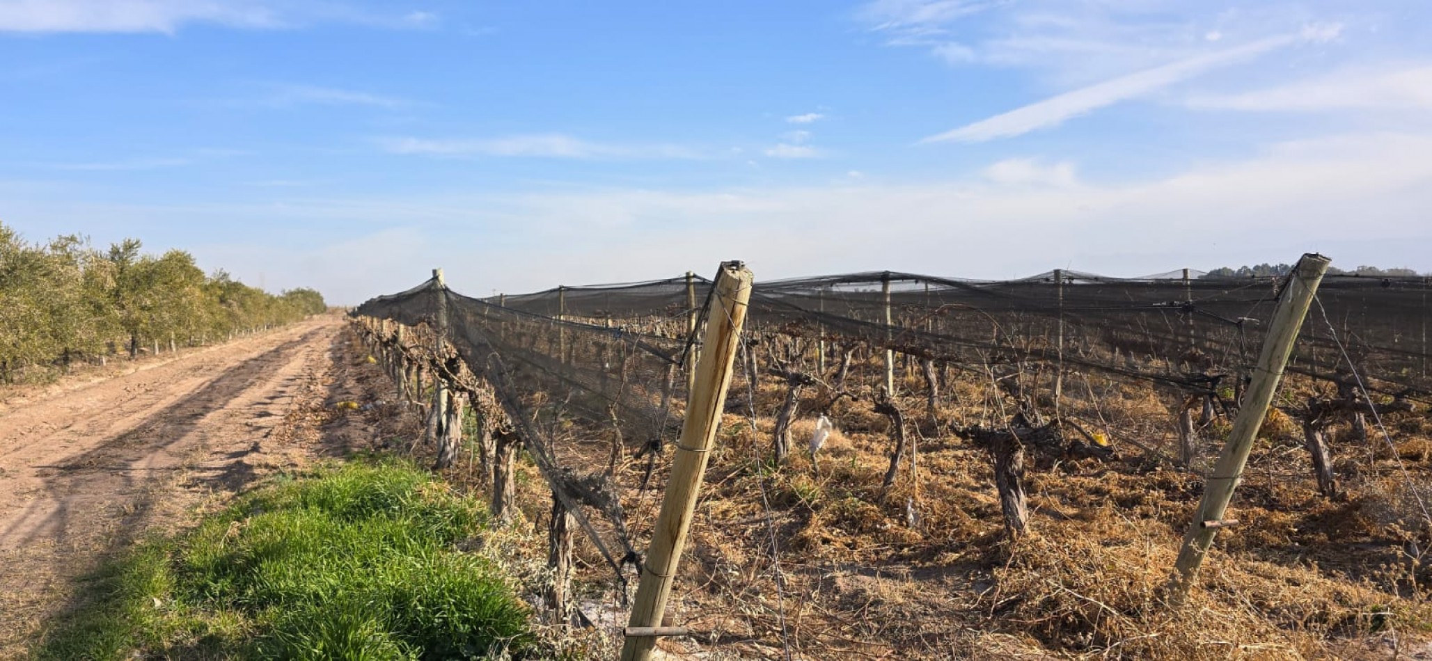 GREENWOOD INMOBILIARIA VENDE FINCA EN LAS HERAS 