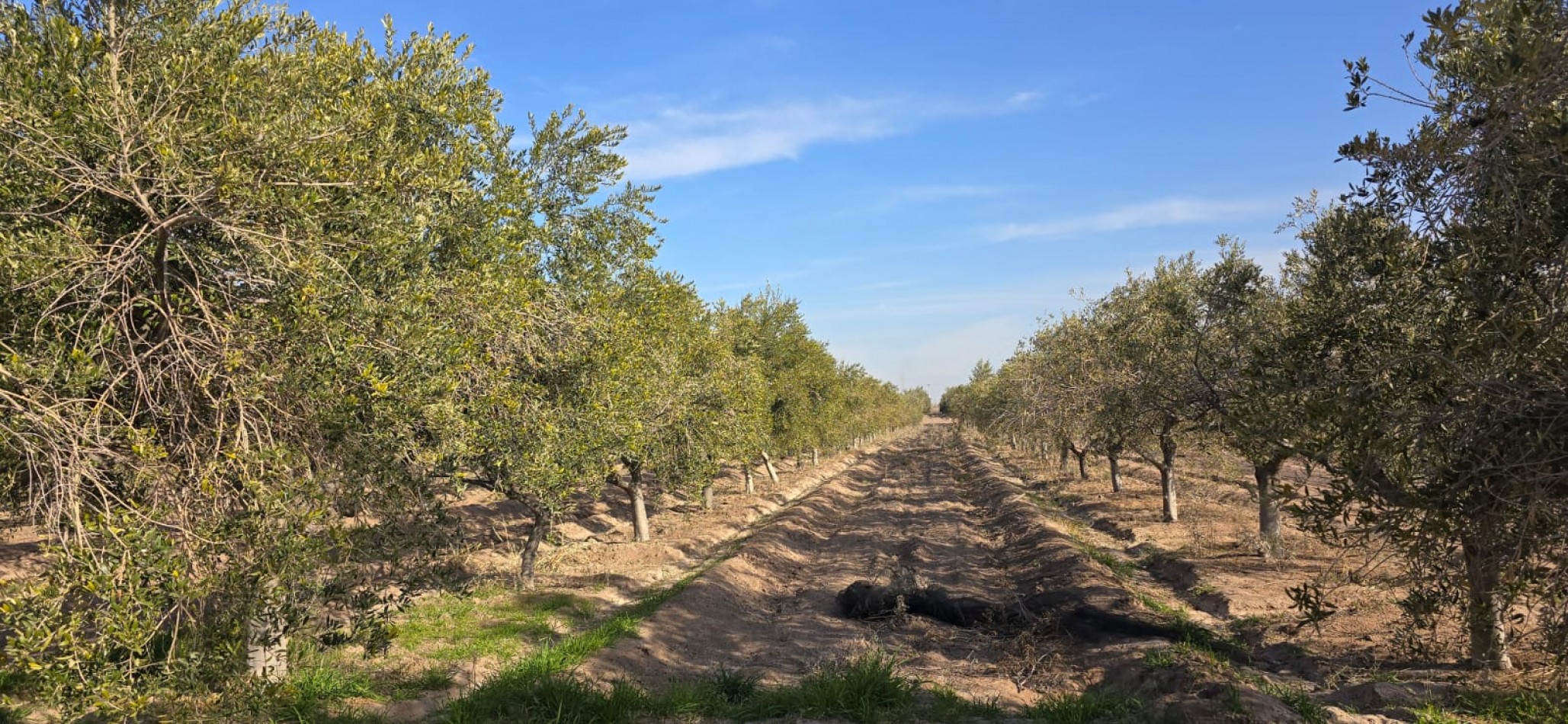 GREENWOOD INMOBILIARIA VENDE FINCA EN LAS HERAS 