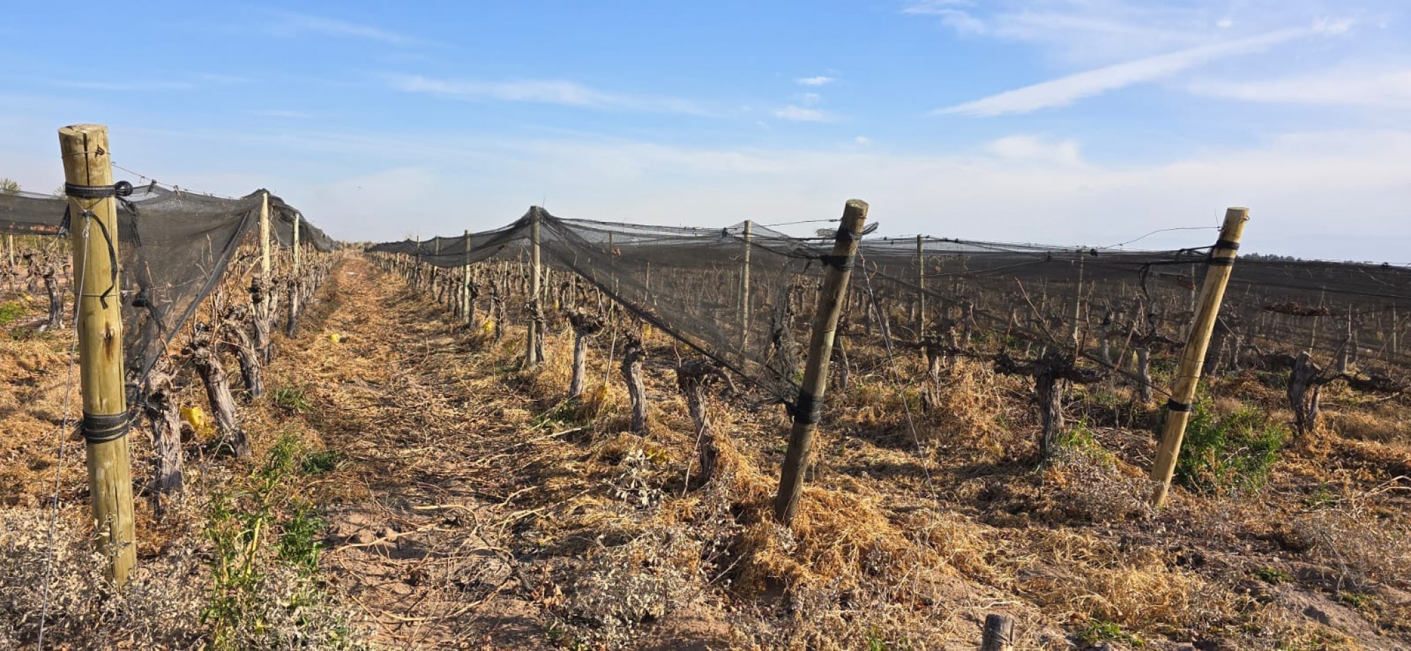 GREENWOOD INMOBILIARIA VENDE FINCA EN LAS HERAS 