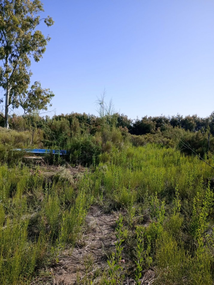 ¡GREENWOOD INMOBILIARIA VENDE LOTE CON CONSTRUCCION!