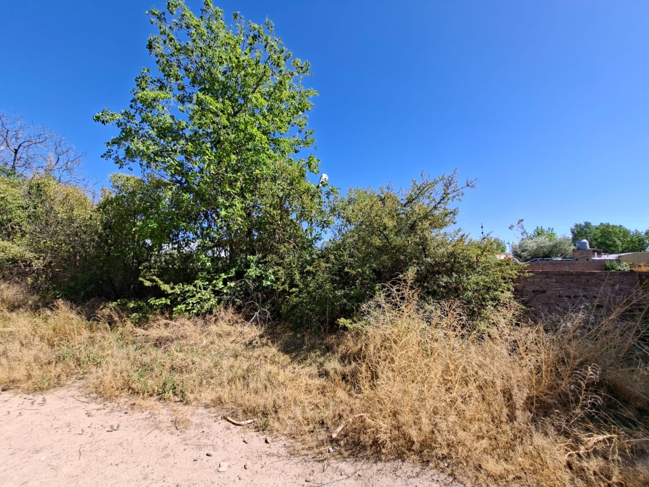 Greenwood Inmobiliaria vende espectacular lote de 1.732 m² con servicios - Russell, Maipu