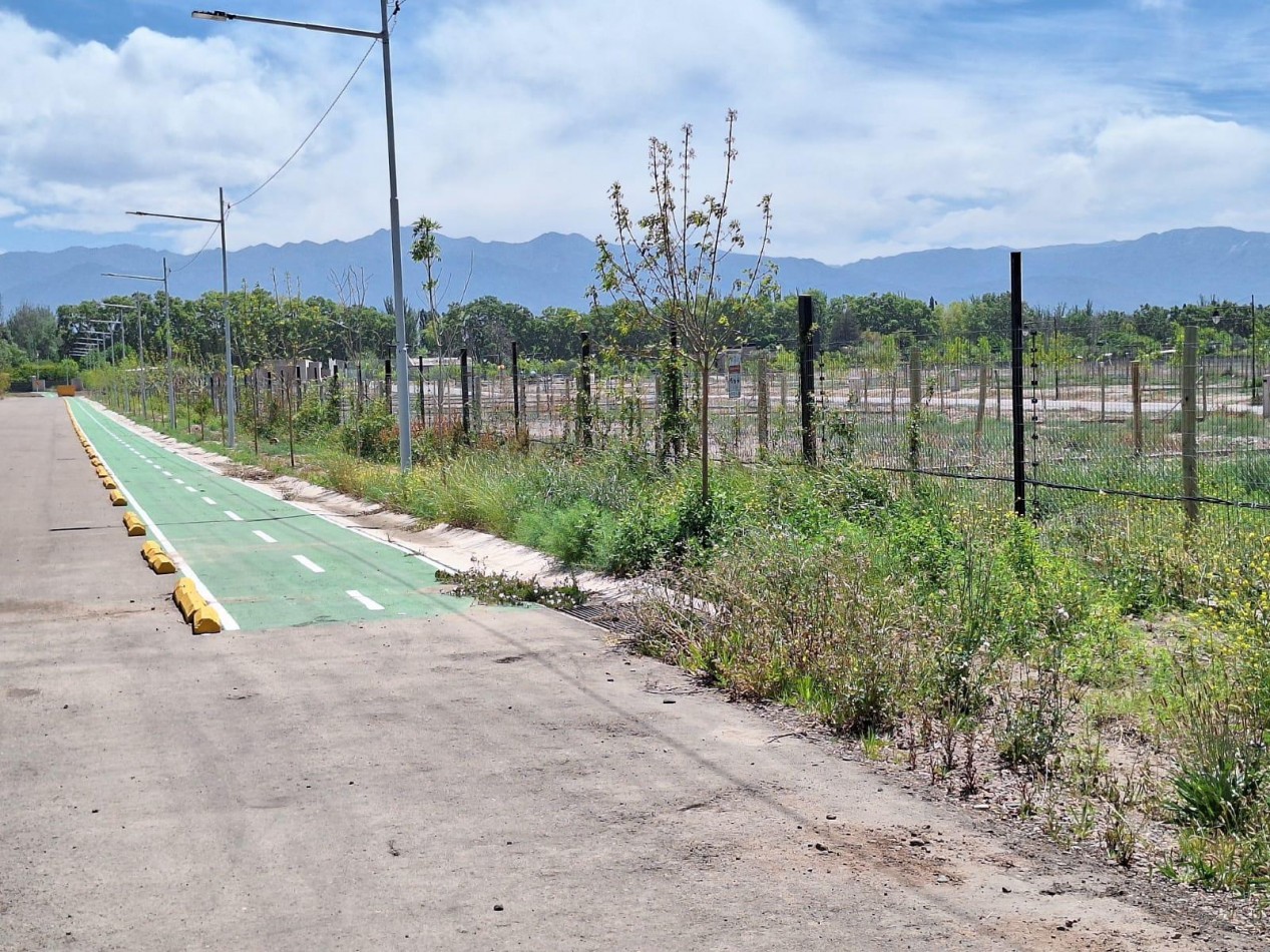 GREENWOOD INMOBILIARIA VENDE LOTE EN BARRIO PRIVADO RINCON DE CORIA, CHACRAS DE CORIA.  LUJAN DE CUYO