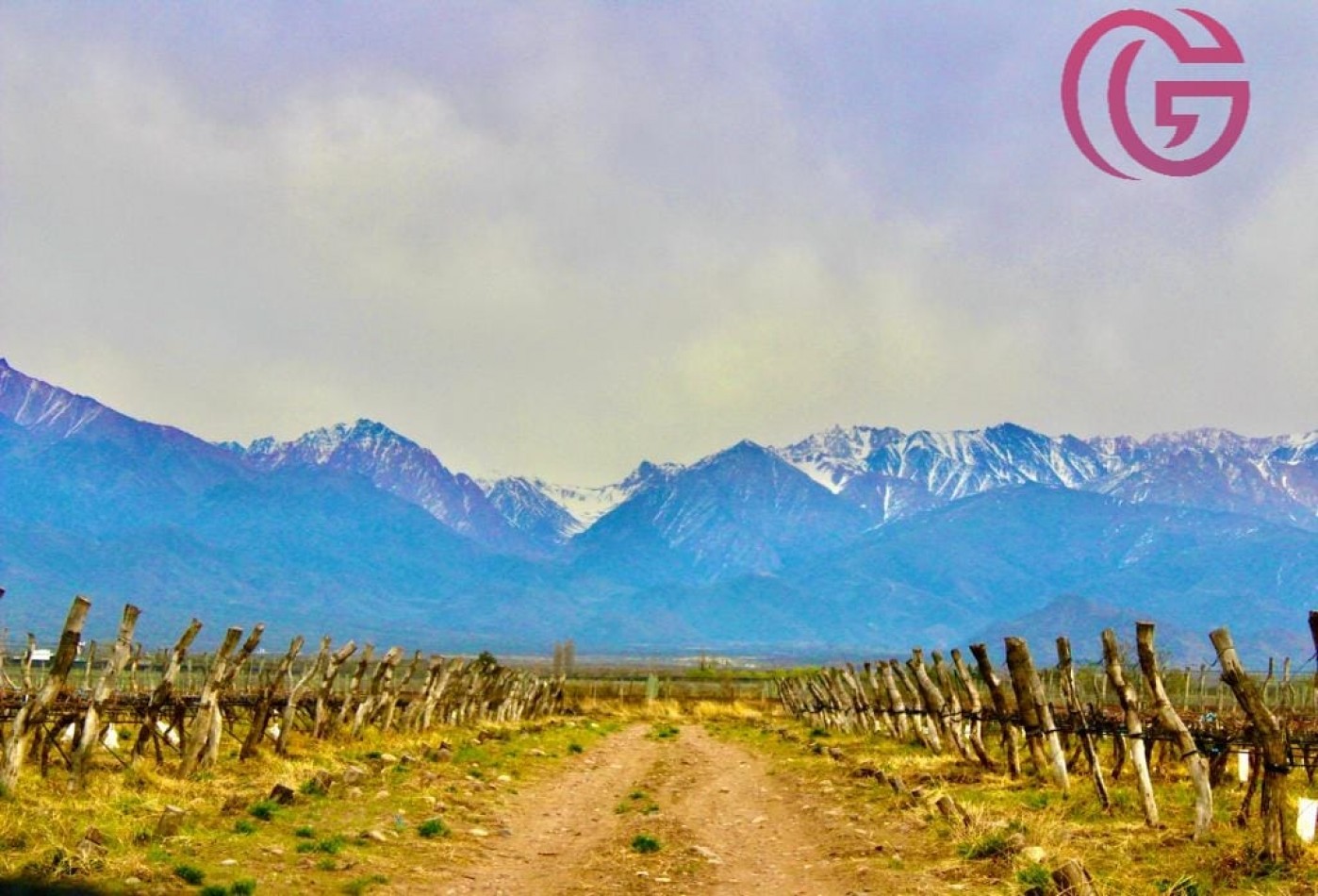 Greenwood Vende Inigualable Finca en Vista Flores Tunuyan, Excelente Rentabilidad, Ideal Emprendimie