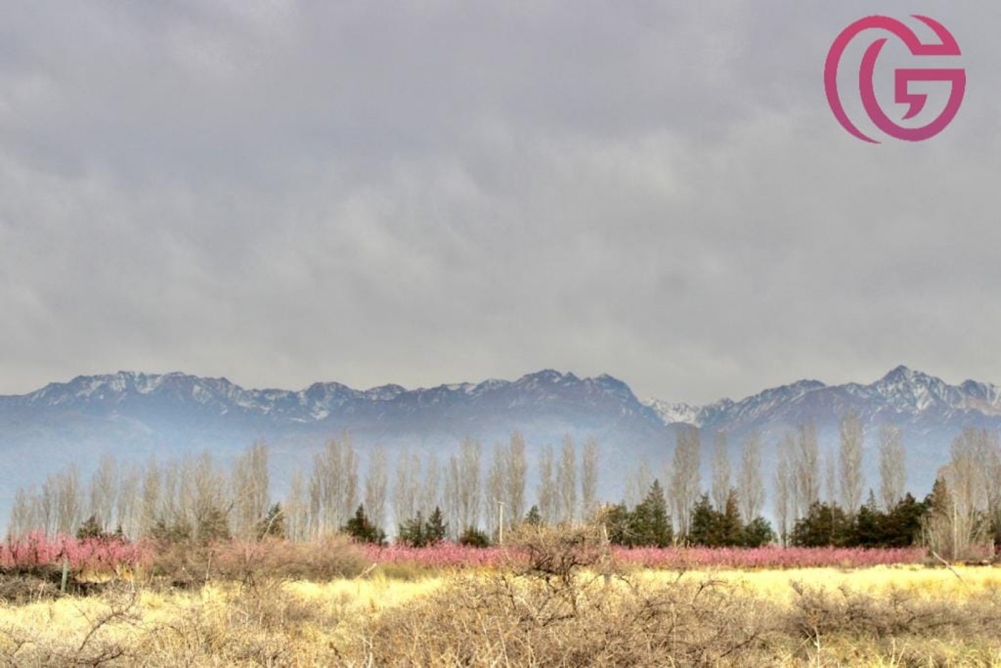 Greenwood Vende Inigualable Finca en Vista Flores Tunuyan, Excelente Rentabilidad, Ideal Emprendimie