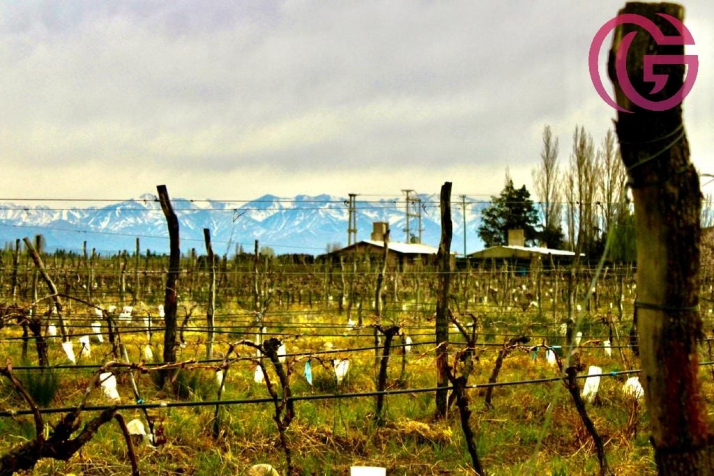 Greenwood Vende Inigualable Finca en Vista Flores Tunuyan, Excelente Rentabilidad, Ideal Emprendimie