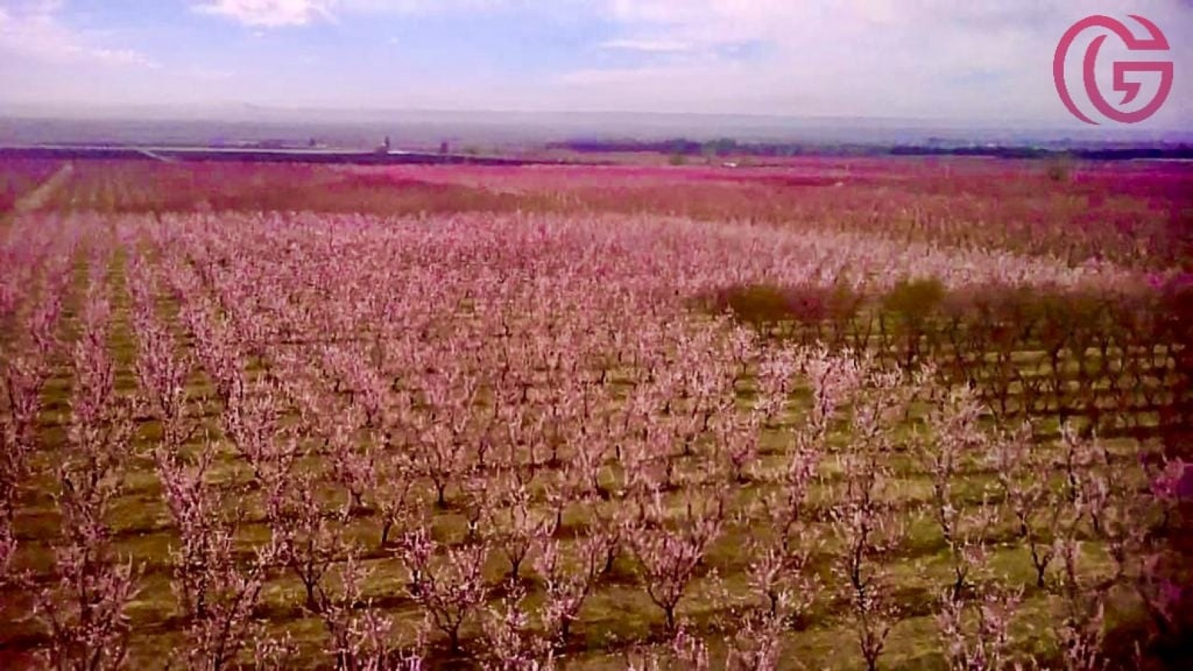 Greenwood Vende Inigualable Finca en Vista Flores Tunuyan, Excelente Rentabilidad, Ideal Emprendimie