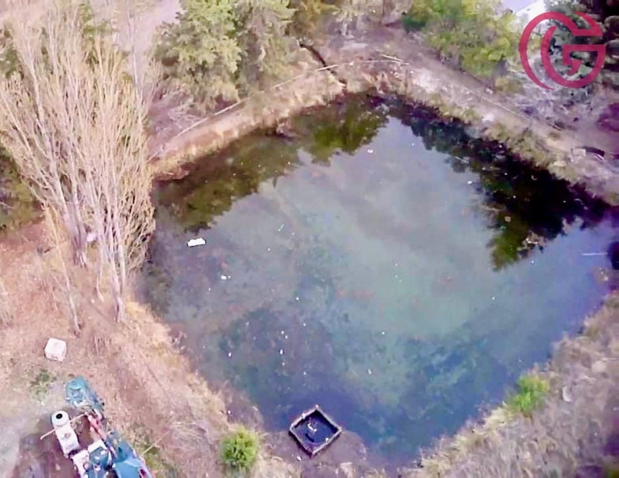 Greenwood Vende Inigualable Finca en Vista Flores Tunuyan, Excelente Rentabilidad, Ideal Emprendimie