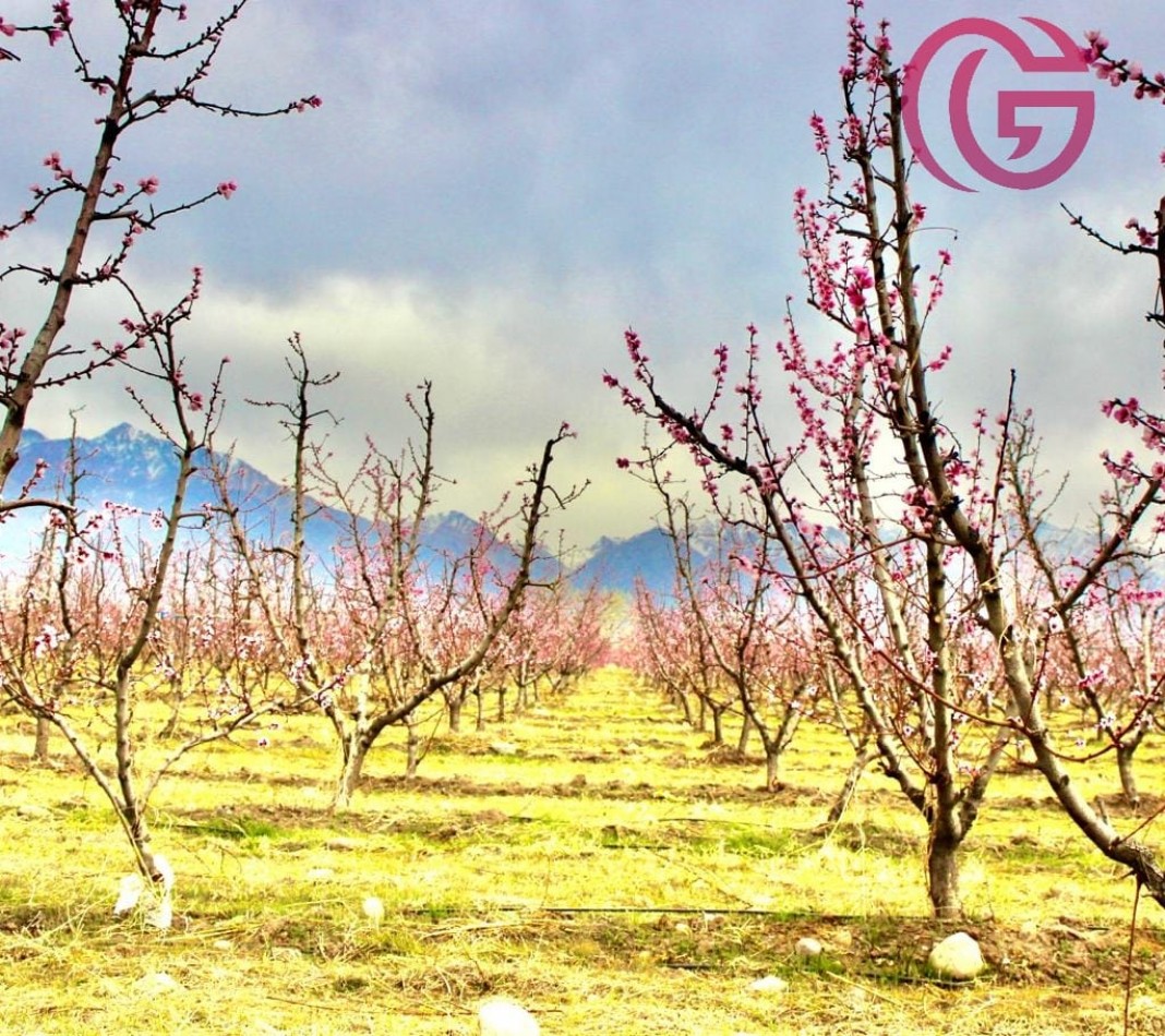 Greenwood Vende Inigualable Finca en Vista Flores Tunuyan, Excelente Rentabilidad, Ideal Emprendimie