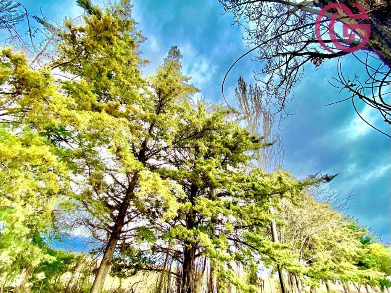 Greenwood Vende Inigualable Finca en Vista Flores Tunuyan, Excelente Rentabilidad, Ideal Emprendimie