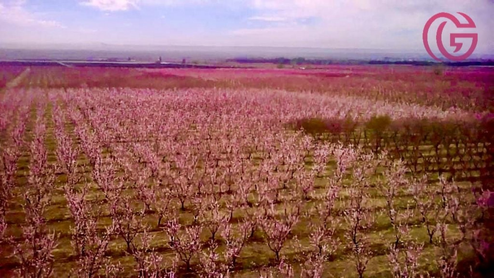 Greenwood Vende Inigualable Finca en Vista Flores Tunuyan, Excelente Rentabilidad, Ideal Emprendimie