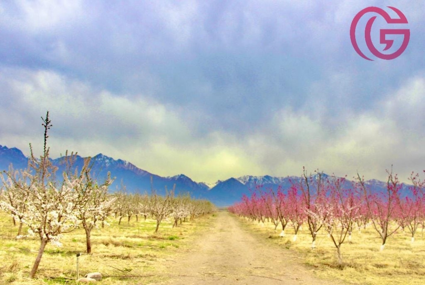 Greenwood Vende Inigualable Finca en Vista Flores Tunuyan, Excelente Rentabilidad, Ideal Emprendimie