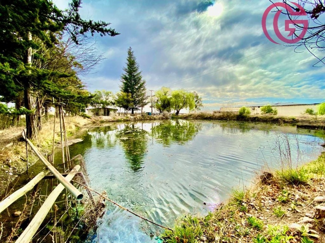 Greenwood Vende Inigualable Finca en Vista Flores Tunuyan, Excelente Rentabilidad, Ideal Emprendimie