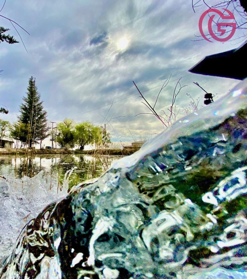 Greenwood Vende Inigualable Finca en Vista Flores Tunuyan, Excelente Rentabilidad, Ideal Emprendimie