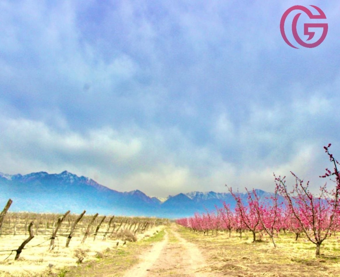 Greenwood Vende Inigualable Finca en Vista Flores Tunuyan, Excelente Rentabilidad, Ideal Emprendimie