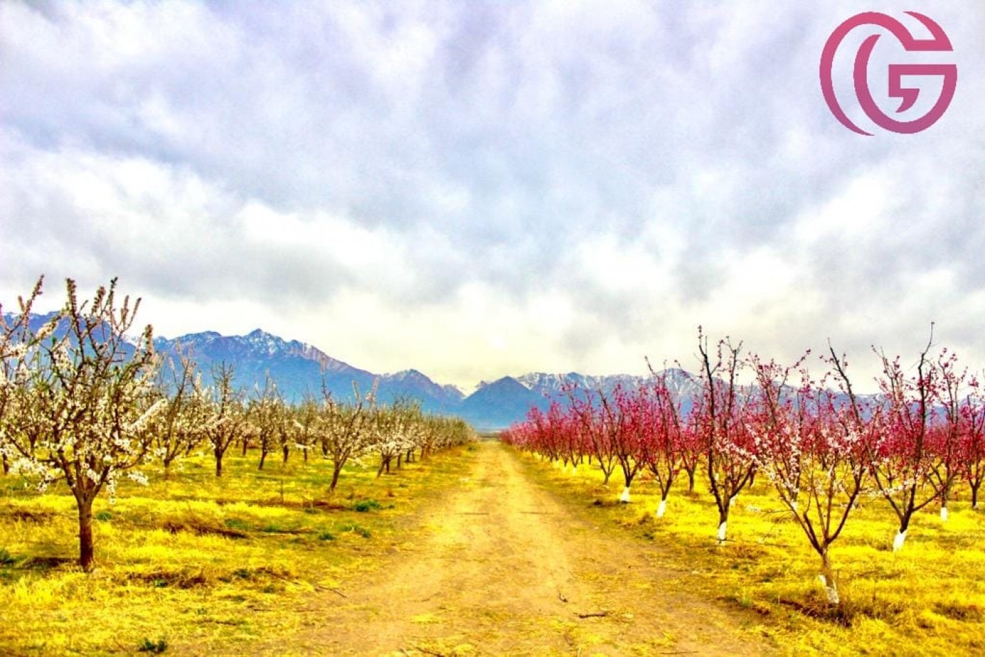 Greenwood Vende Inigualable Finca en Vista Flores Tunuyan, Excelente Rentabilidad, Ideal Emprendimie