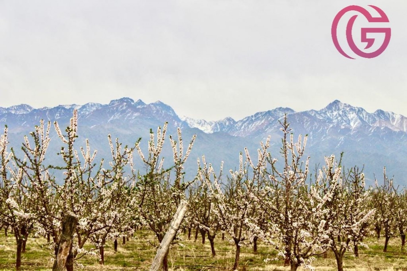 Greenwood Vende Inigualable Finca en Vista Flores Tunuyan, Excelente Rentabilidad, Ideal Emprendimie