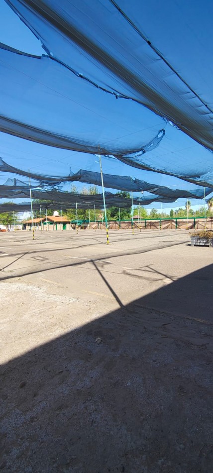 GREENWOOD INMOBILIARIA VENDE EXCELENTE GALPON INDUSTRIAL DE 5 HECTAREAS 