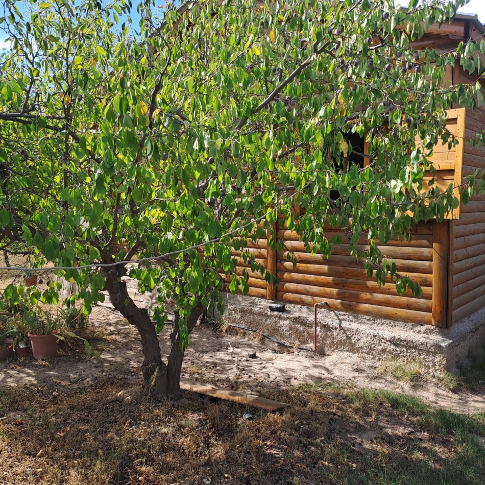 GREENWOOD INMOBILIARIA VENDE OPORTUNIDAD EN Rodeo del Medio - Maipu