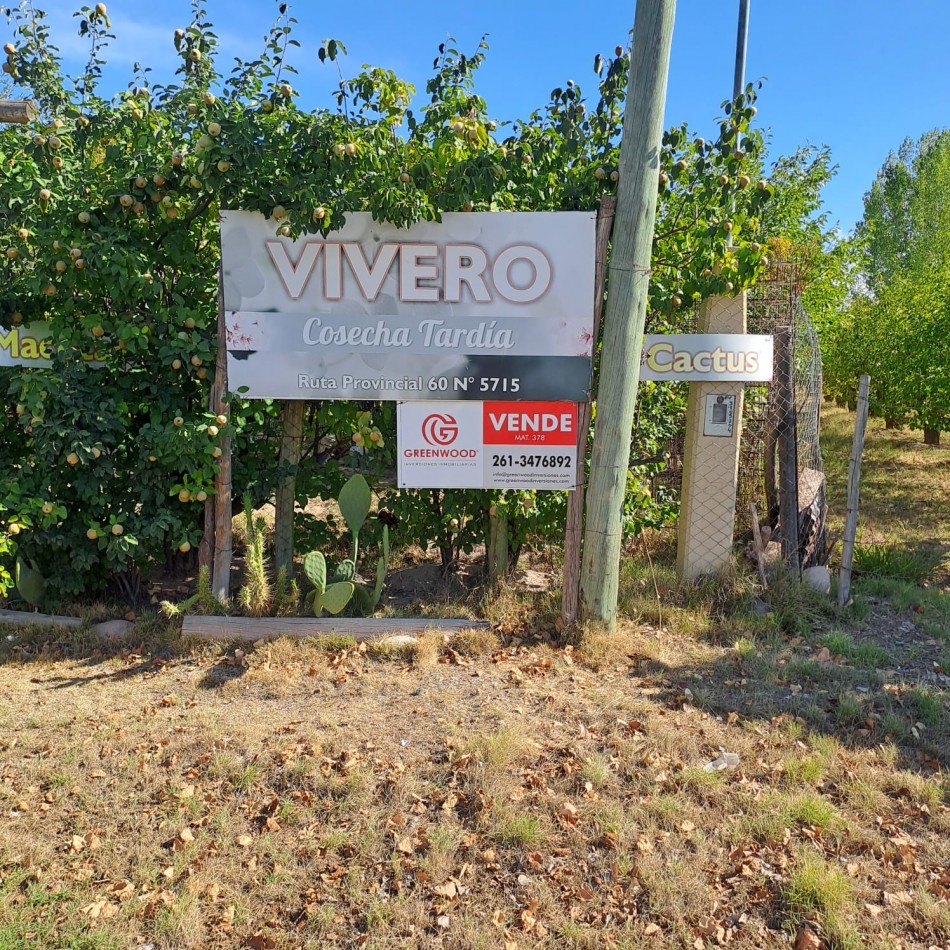 GREENWOOD INMOBILIARIA VENDE OPORTUNIDAD EN Rodeo del Medio - Maipu