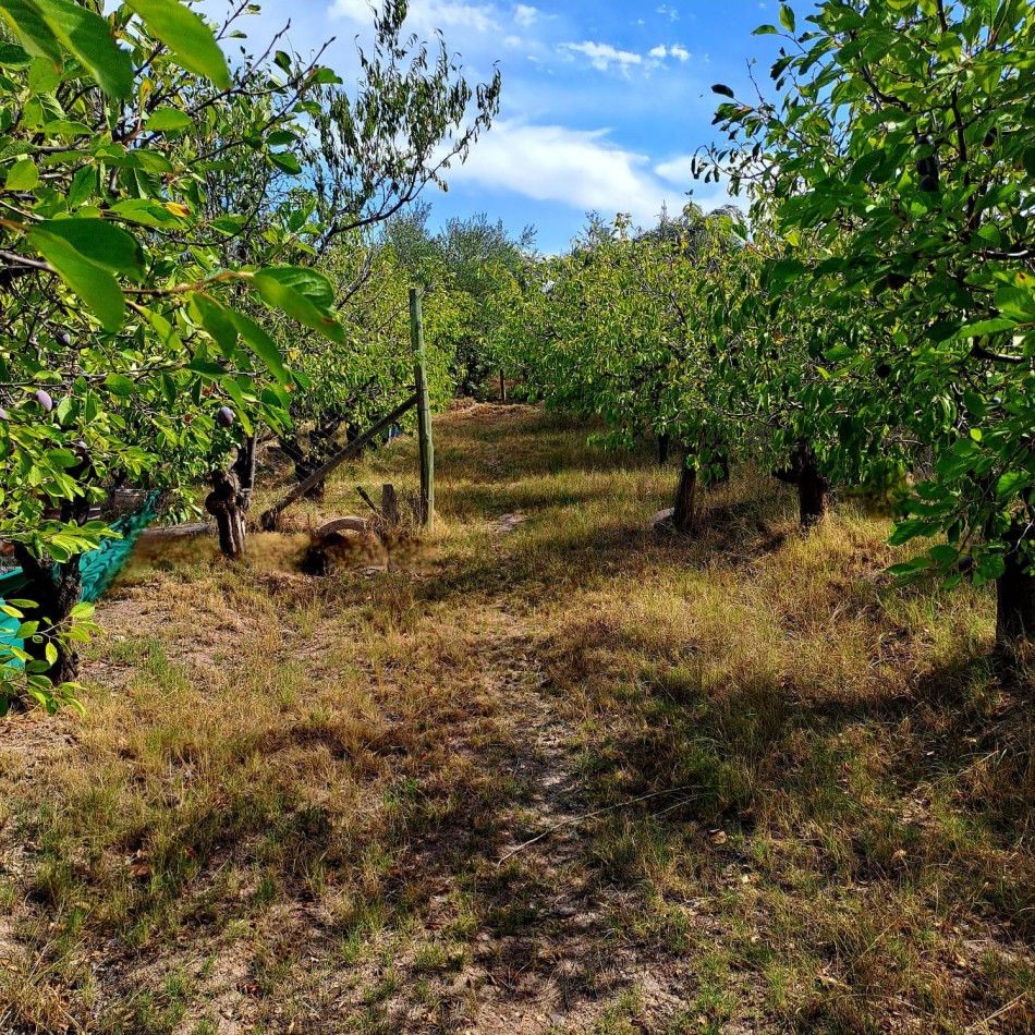 GREENWOOD INMOBILIARIA VENDE OPORTUNIDAD EN Rodeo del Medio - Maipu