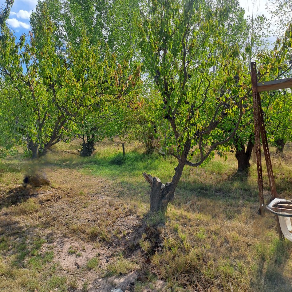 GREENWOOD INMOBILIARIA VENDE OPORTUNIDAD EN Rodeo del Medio - Maipu