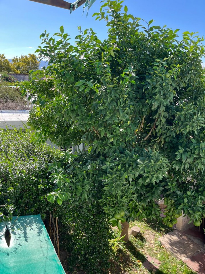 GREENWOOD INMOBILIARIA VENDE HERMOSA CASA EN LUJAN DE CUYO 