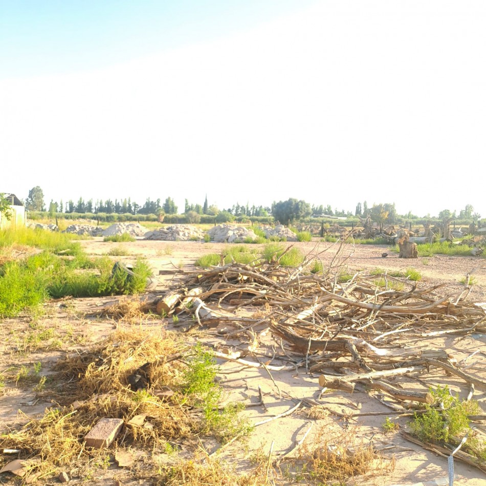 GREENWOOD INMOBILIARIA VENDE IMPORTANTE TERRENO EN LA ZONA DE MAIPU MENDOZA