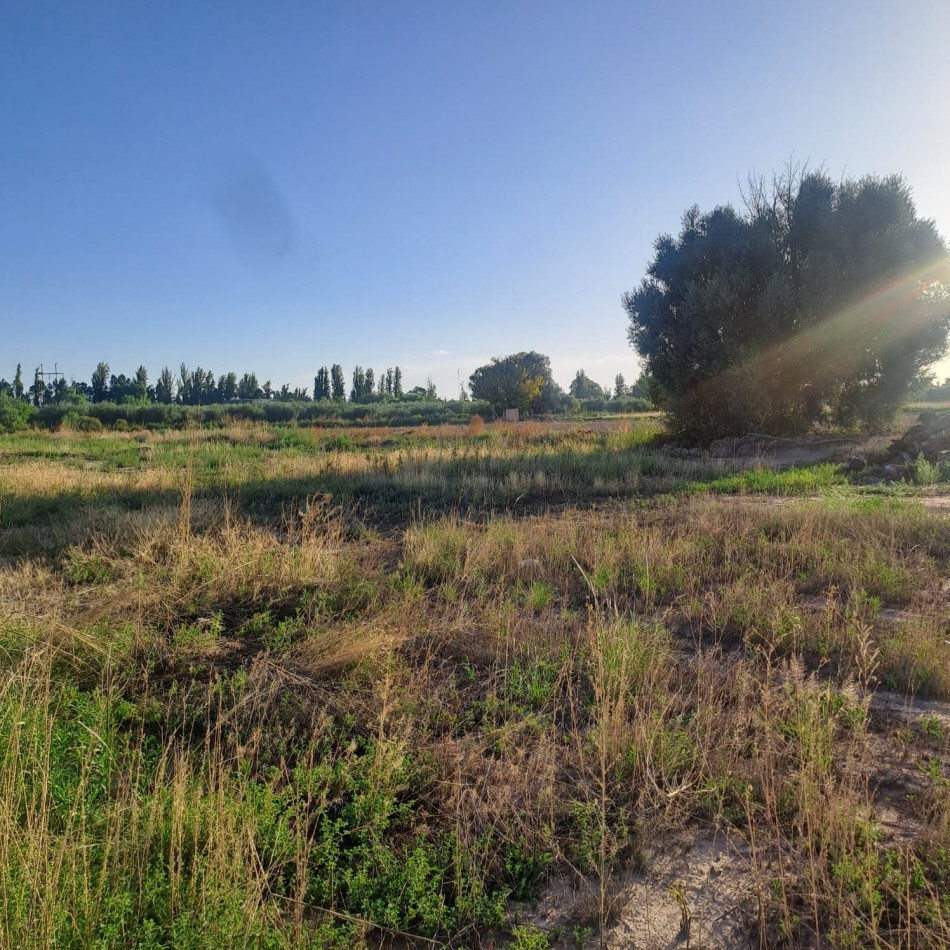 GREENWOOD INMOBILIARIA VENDE IMPORTANTE TERRENO EN LA ZONA DE MAIPU MENDOZA