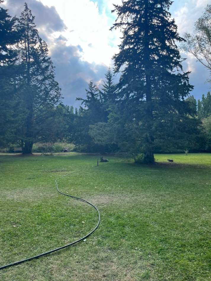 Venta de lote en El Salto- Mendoza