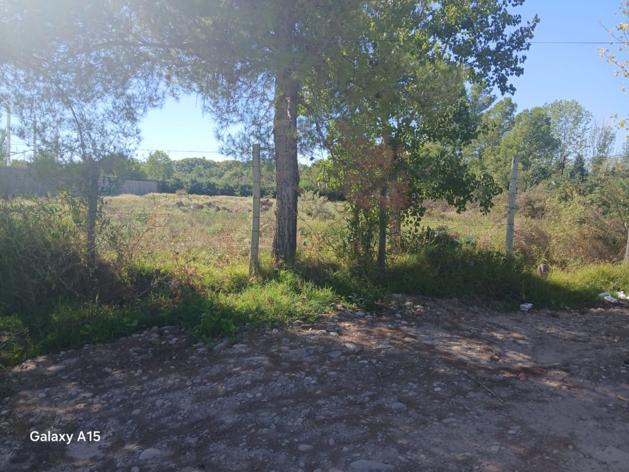 GREENWOOD INMOBILIARIA VENDE TERRENO EN LUJAN DE CUYO, PERDRIEL
