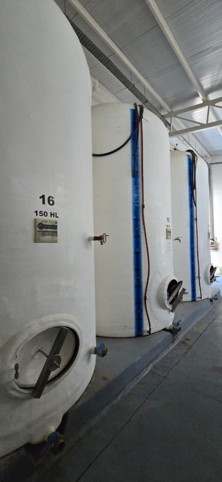 GREENWOOD INMOBILIARIA VENDE HERMOSA BODEGA