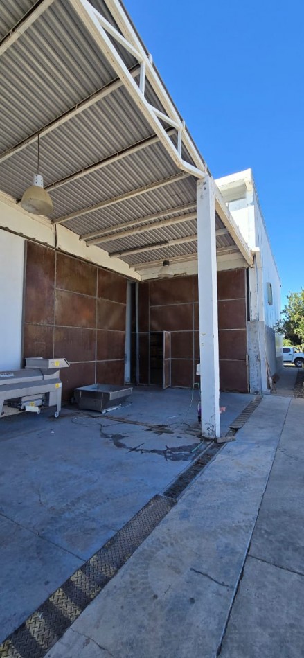 GREENWOOD INMOBILIARIA VENDE HERMOSA BODEGA