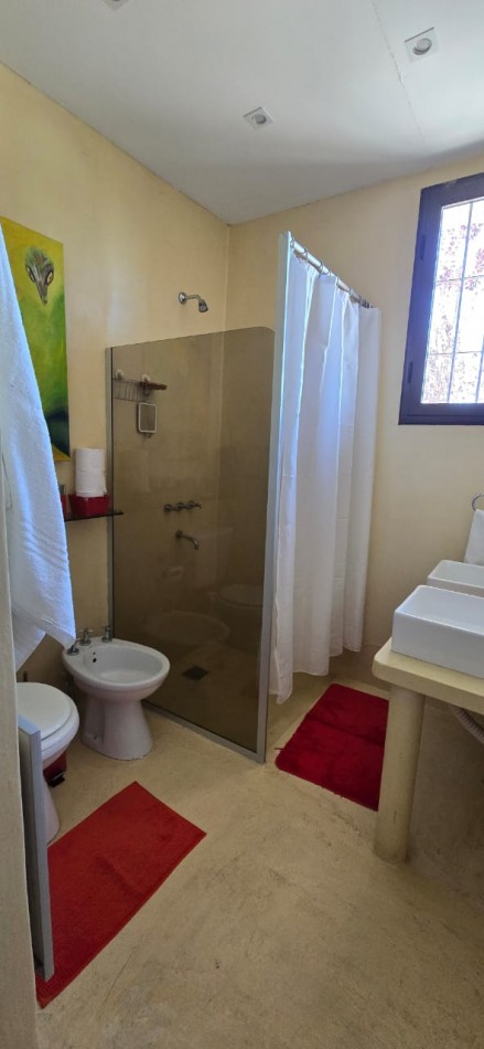 GREENWOOD INMOBILIARIA VENDE EXCELENTE FINCA EN SAN RAFAEL, MENDOZA! 