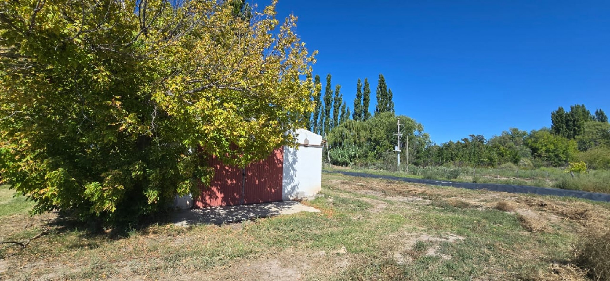 GREENWOOD INMOBILIARIA VENDE EXCELENTE FINCA EN SAN RAFAEL, MENDOZA! 