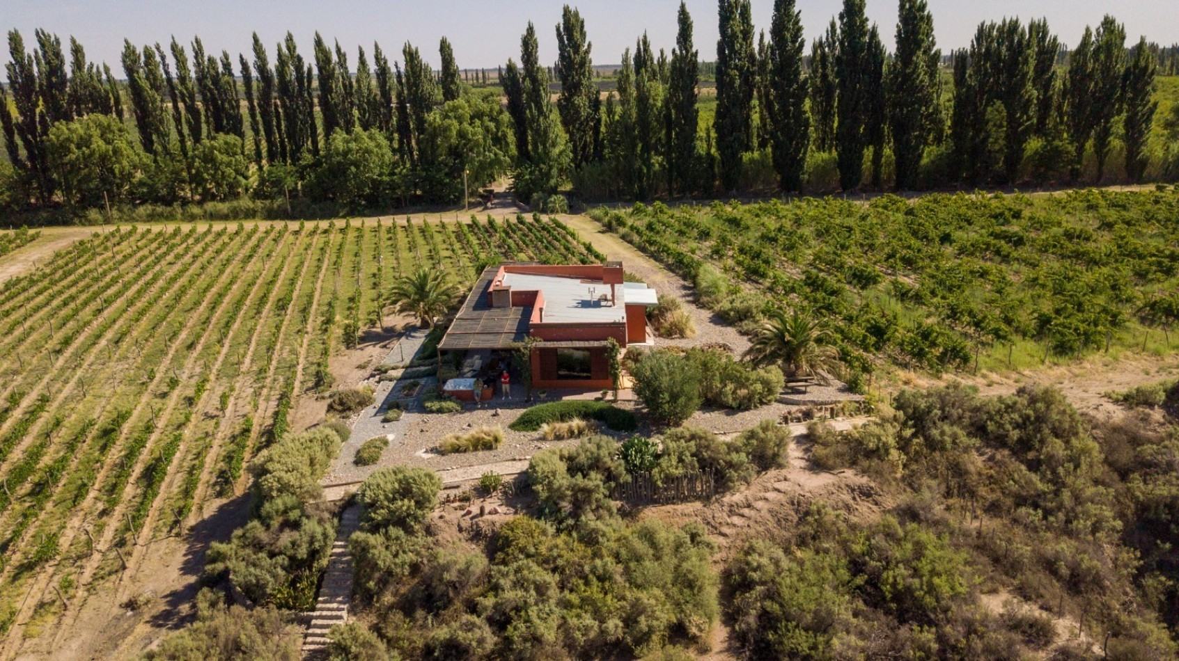 GREENWOOD INMOBILIARIA VENDE EXCELENTE FINCA EN SAN RAFAEL, MENDOZA! 