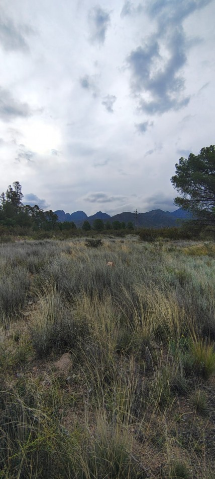 Greenwood Inversiones Inmobiliarias presenta una excelente oportunidad de inversion en una de las zonas mas buscadas de Mendoza: Blanco Encalada