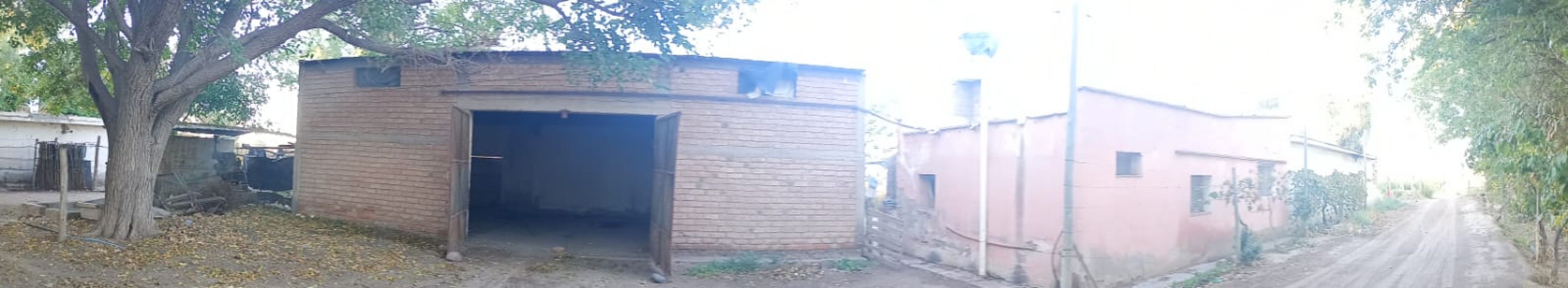 GREENWOOD  VENDE FINCA CALLE SANTA INES,MEDRANO JUNIN MENDOZA