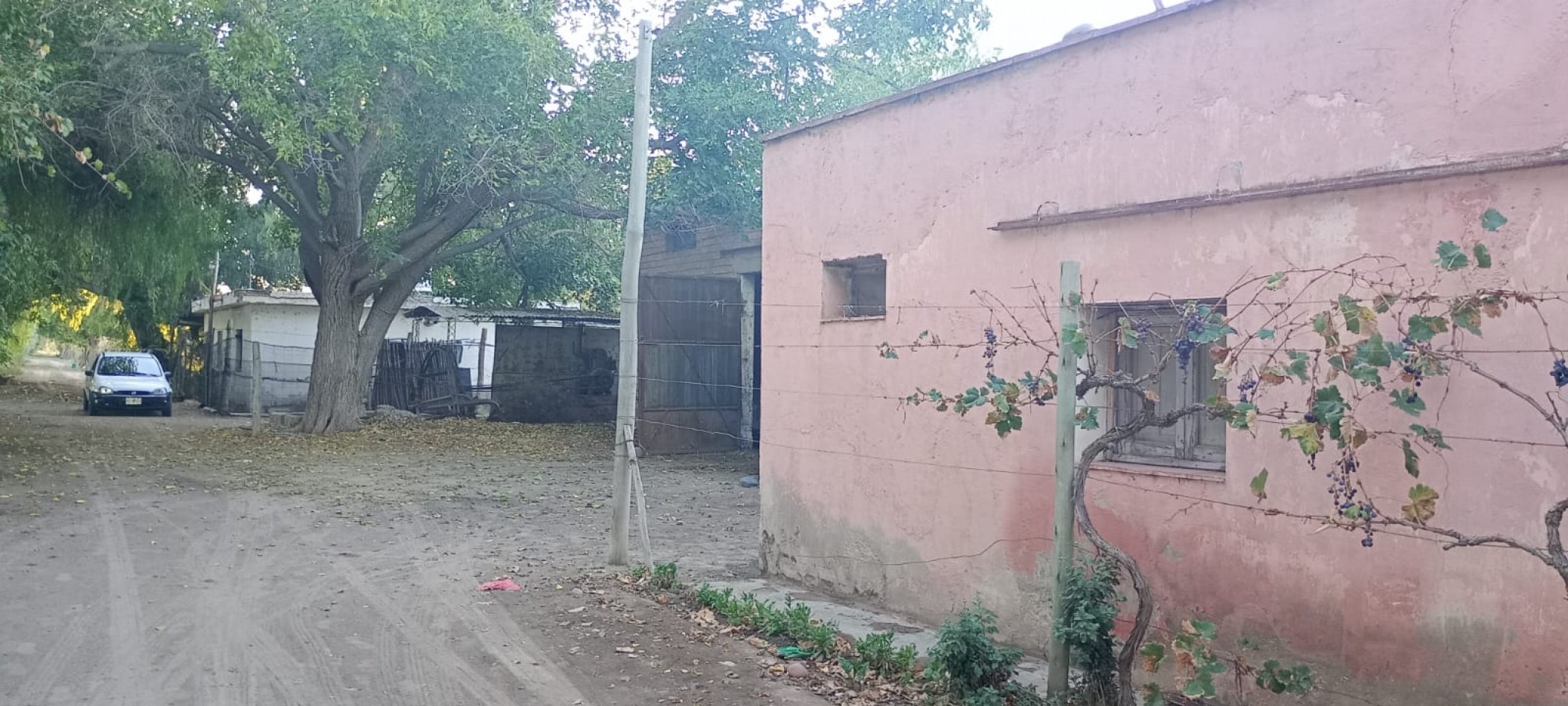 GREENWOOD  VENDE FINCA CALLE SANTA INES,MEDRANO JUNIN MENDOZA