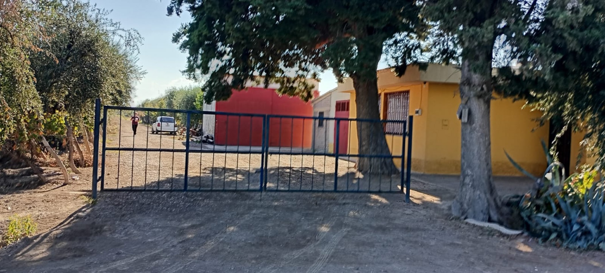 GREENWOOD INMOBILIARIA VENDE FINCA EL CHAÑAR - OPORTUNIDAD PRODUCTIVA EN MENDOZA