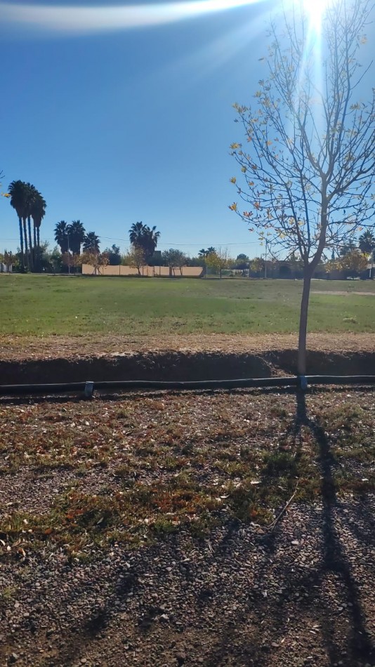 GREENWOOD INVERSIONES INMOBILIARIAS - PRESENTA Desarrollo de Lotes en Barrio Privado  Las Palmas II  - Guaymallen (Corralitos)