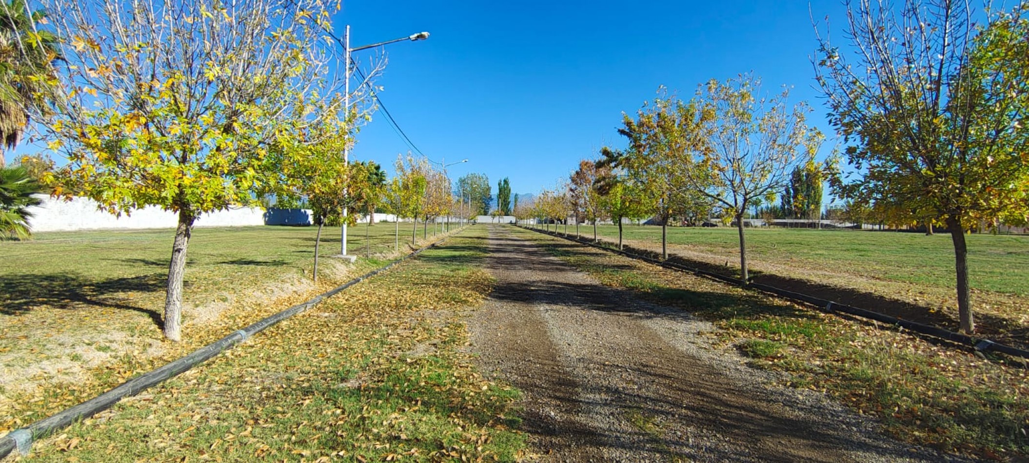 GREENWOOD INVERSIONES INMOBILIARIAS - PRESENTA Desarrollo de Lotes en Barrio Privado  Las Palmas II  - Guaymallen (Corralitos)