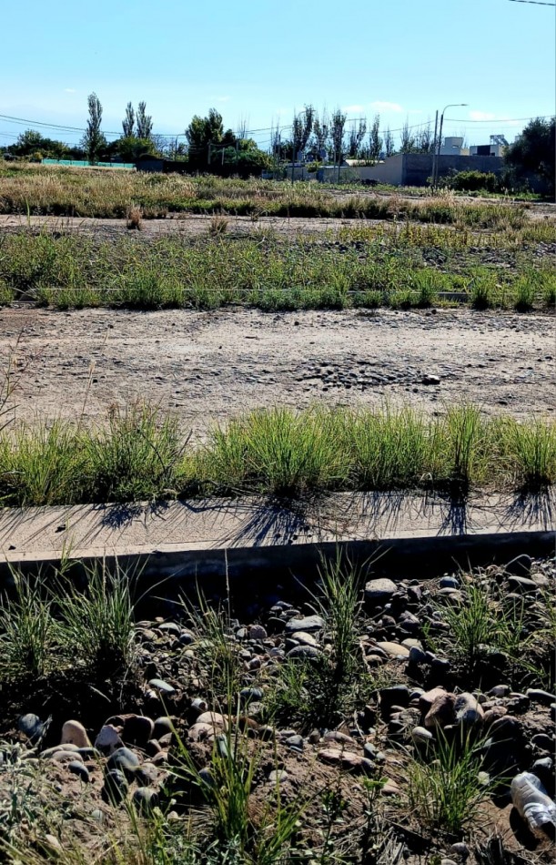 GREENWOOD  VENDE LOTE EN RUSSELL